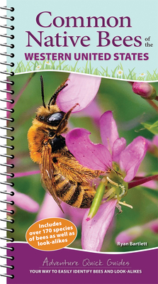 Common Native Bees of the Western United States: Your Way to Easily Identify Bees and Look-Alikes (Adventure Quick Guides) By Ryan Bartlett Cover Image
