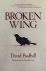Broken Wing By David Budbill Cover Image