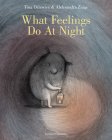 What Feelings Do at Night By Tina Oziewicz, Aleksandra Zajac (Illustrator), Antonia Lloyd-Jones (Translated by) Cover Image